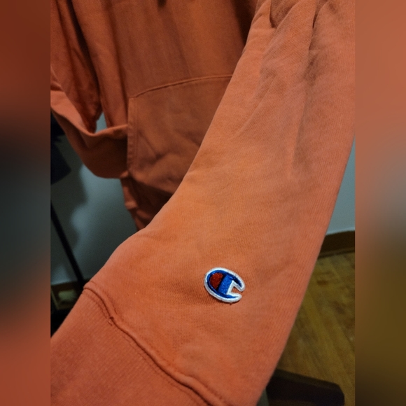 CHAMPION PULLOVER SWEATER - Picture 4 of 6